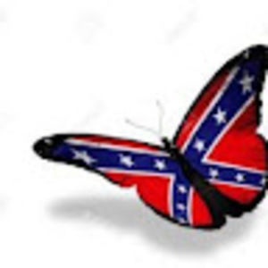 Meet your Posher, Misty